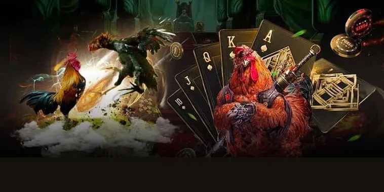Bí Kíp Chơi Đá Gà WS168 Tại 98WIN Để Thắng Lớn Dễ Dàng