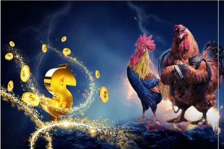 Hướng Dẫn Cách Chơi Đá Gà 3D Tại 98WIN Để Tăng Tỷ Lệ Thắng Lớn