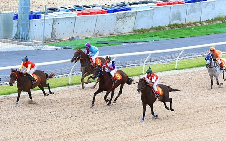 Bí Kíp Cá Cược Đua Ngựa 98WIN Thắng Lớn Với Tỷ Lệ Kèo Hấp Dẫn 2025 2 Bí Kíp Cá Cược Đua Ngựa 98WIN Thắng Lớn Với Tỷ Lệ Kèo Hấp Dẫn 2025
